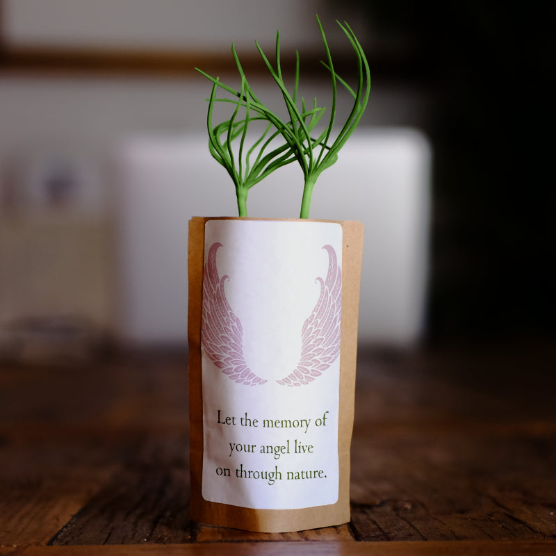 Sympathy Gifts