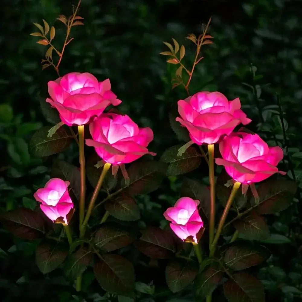 Sf4a8bd7f750b4cb0a6c2d15497c71d30T
